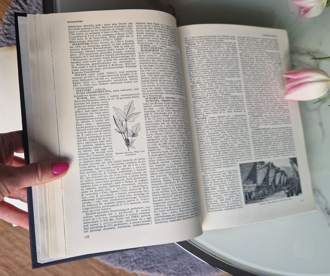 Encyklopedia Powszechna PWN 13 tomów 1968