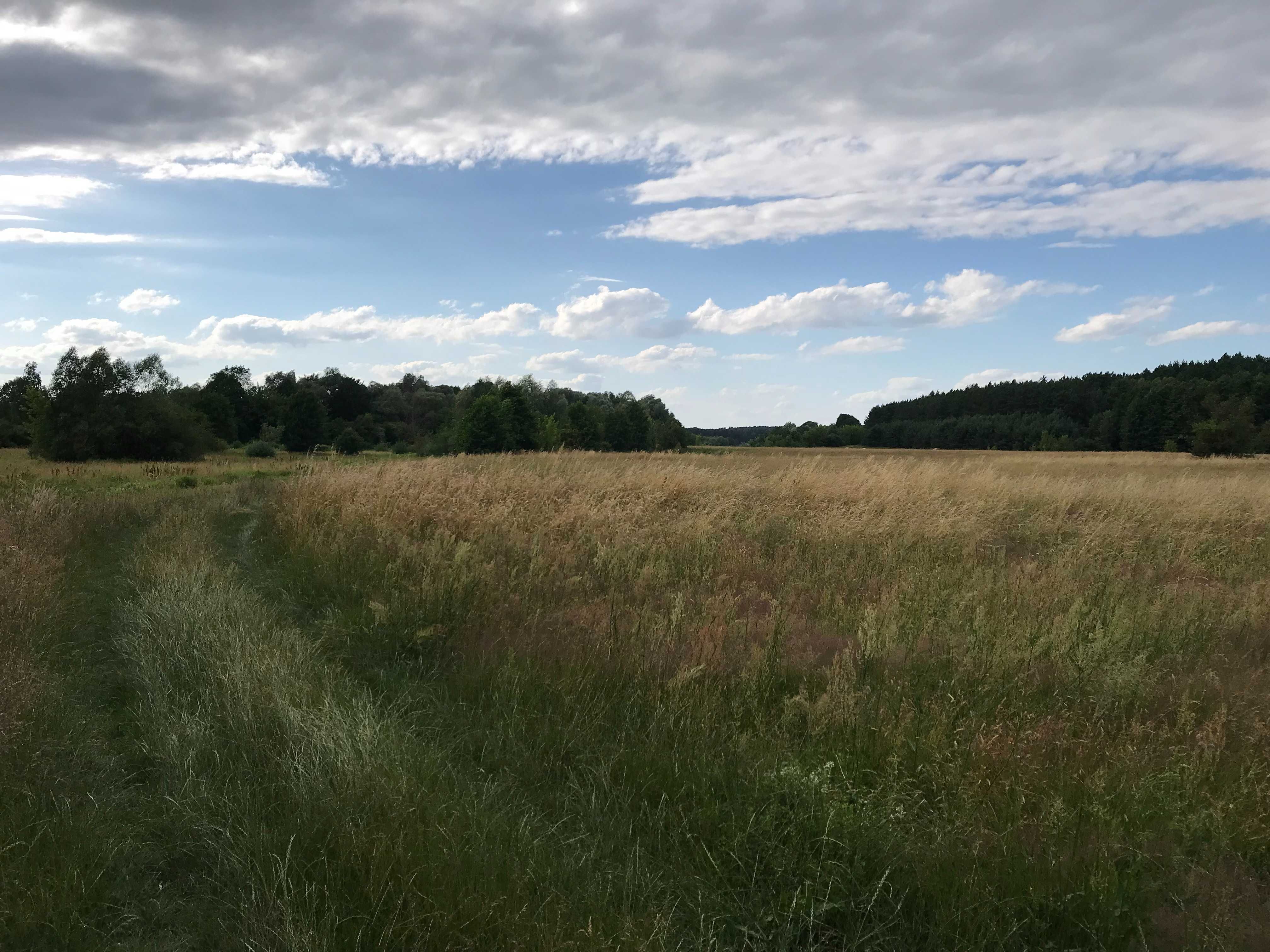 Klimatyczny domek nad Bugiem