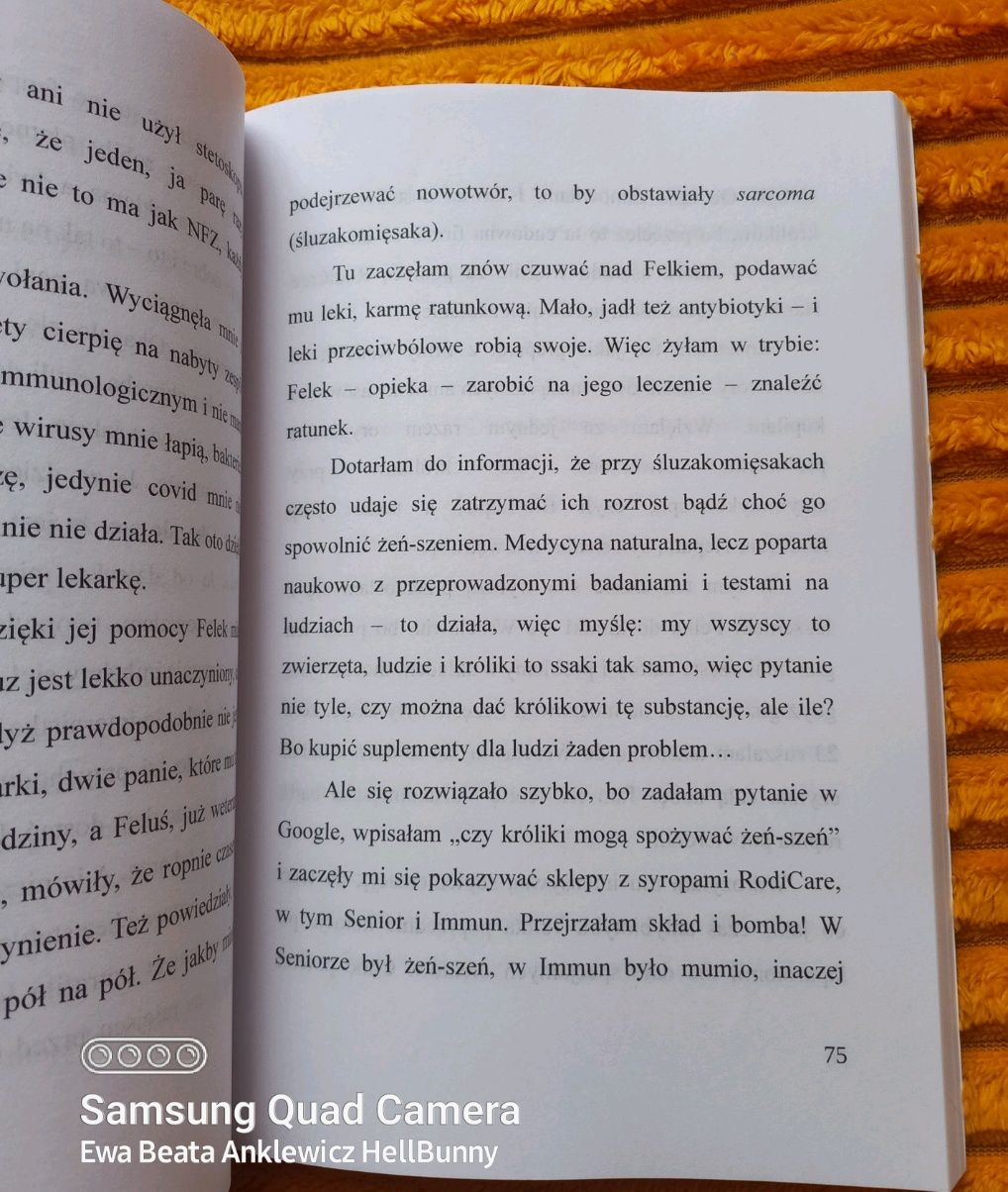 O czym myśli królik Felek?Na faktach Wyprzdaz CHARYTATYWNA