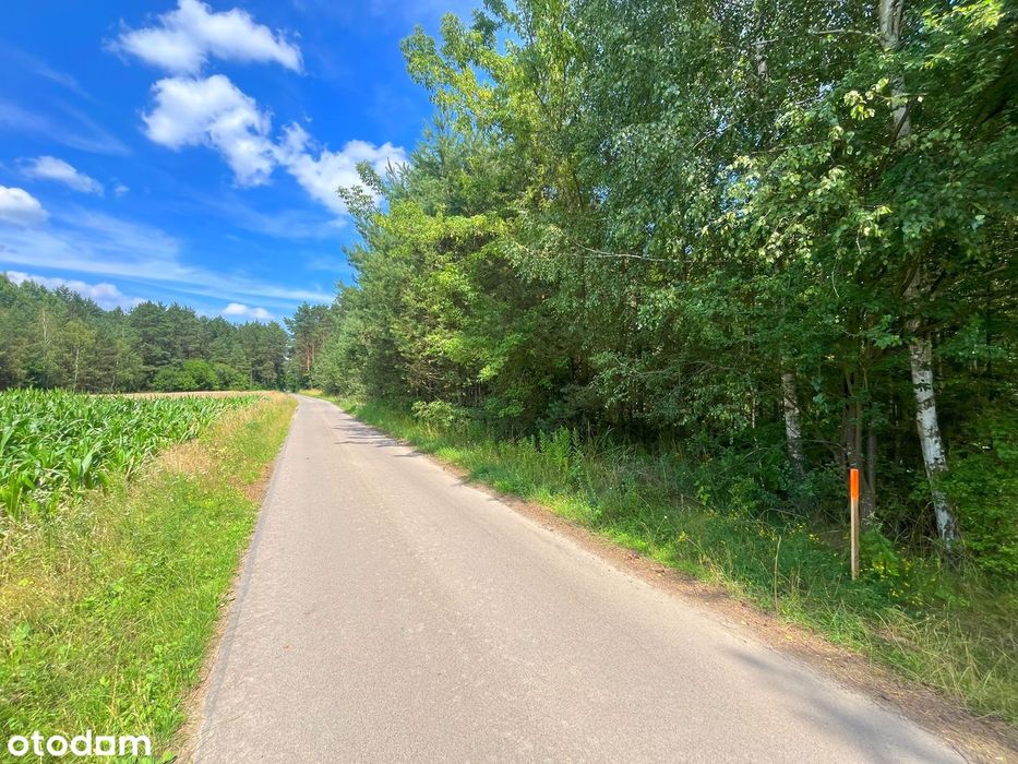 Piękna działka budowlana w środku lasu, 4km od Wisły