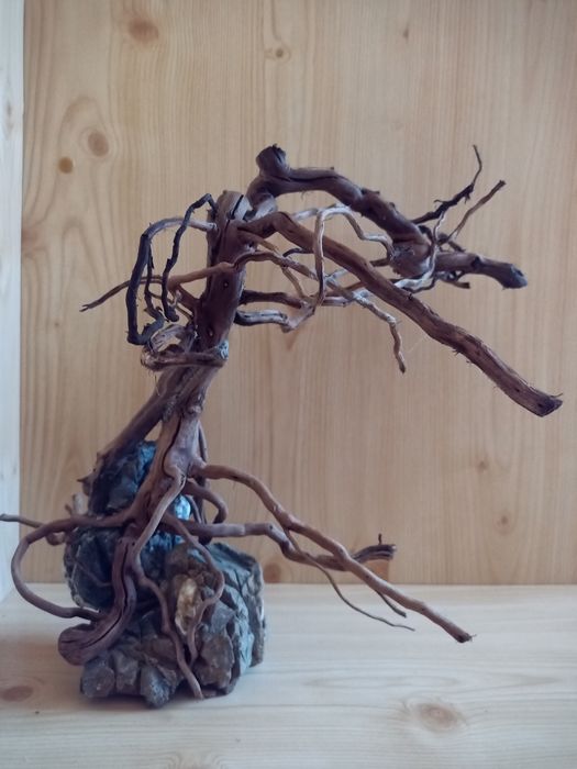 Акваріумний бонсай, акваріумні декорації