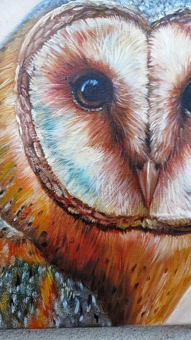 Płomykówka. Sowa. Obraz olejny, certyfikat. Cena -50% tylko do 7.12
