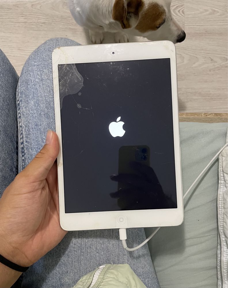 Планшет Apple, IPad mini A1432