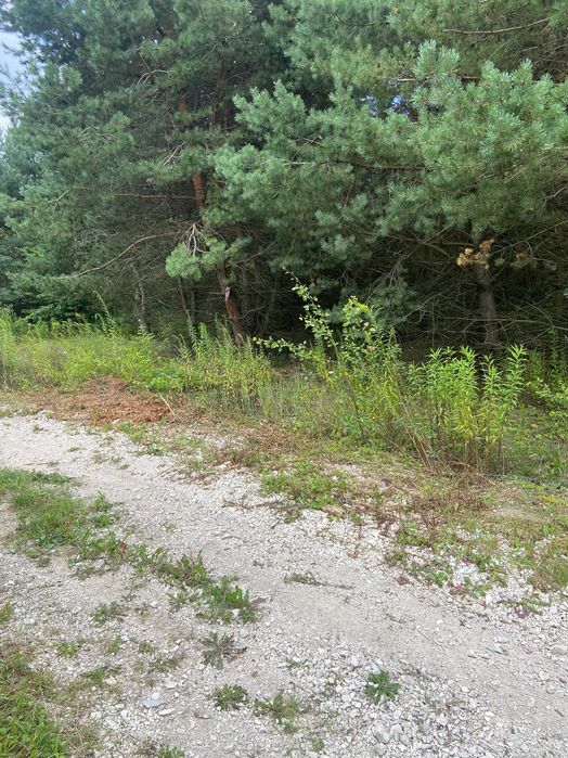 Sprzedam działkę w Woli Morawickiej