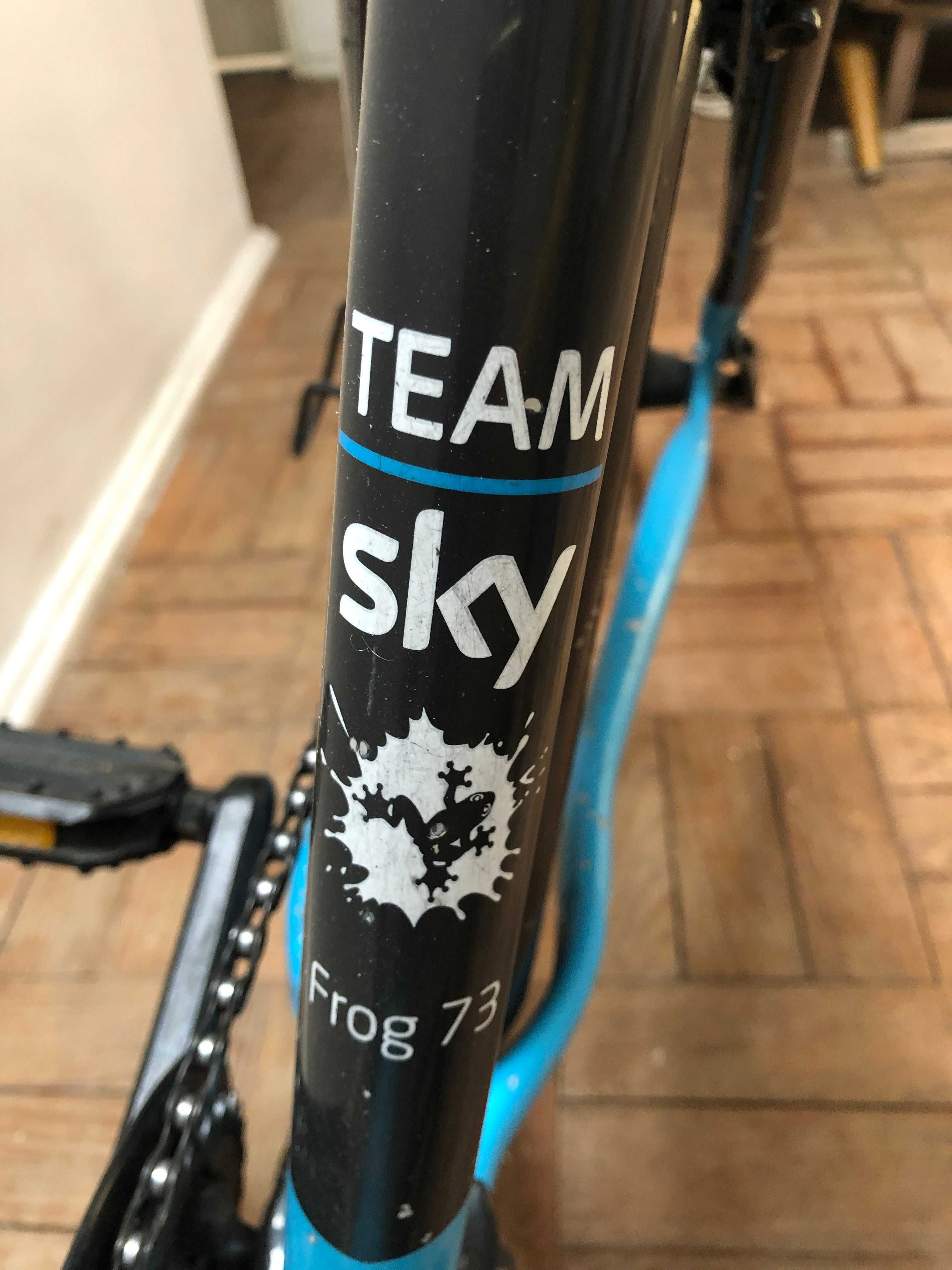 Frog bike Sky Team - bicicleta para jovens, muito leve, em bom estado