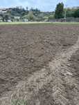 Prestaçao de serviços agricolas florestais