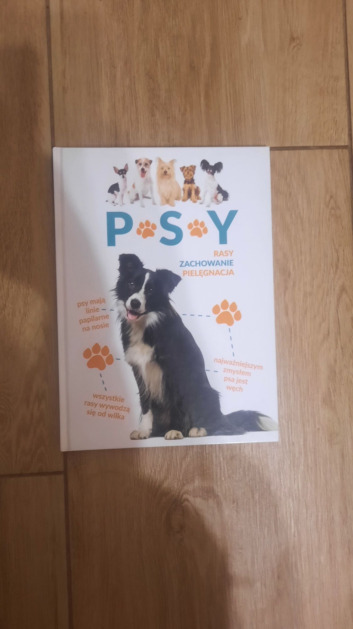 Psy. Rasy, zachowanie, pielęgnacja. Książka dla dzieci i młodzieży.