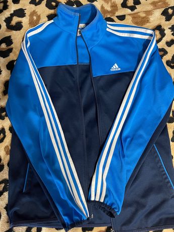 Кофта мастєрка adidas,синьо-блакитного кольору