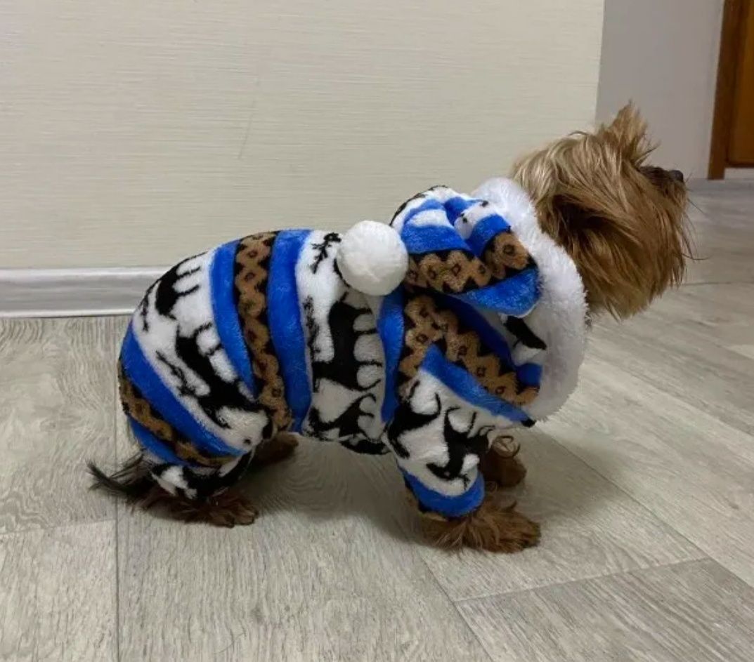 Zimowe ubranie dla psa