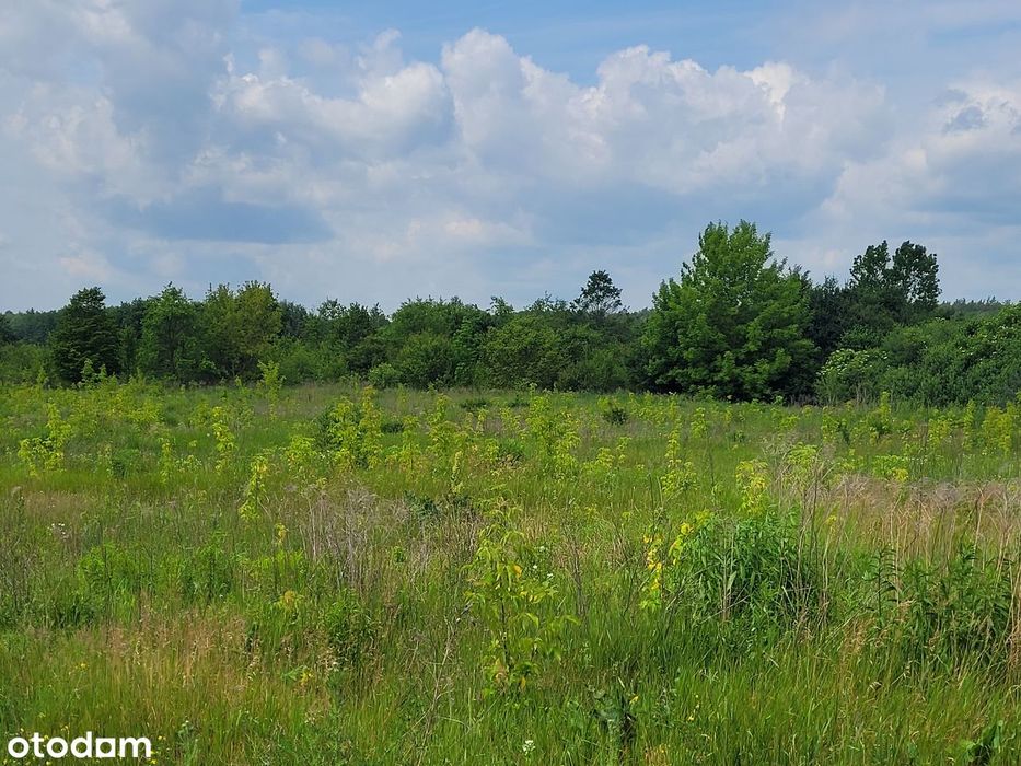 działka inwestycyjna na Krywlanach (podstrefa Białystok SSSE)