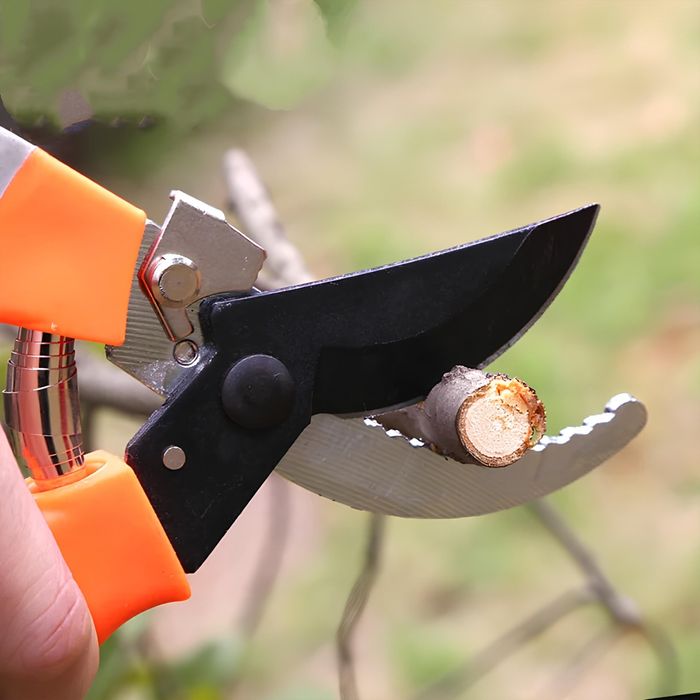 Sekator nożyce ogrodowe