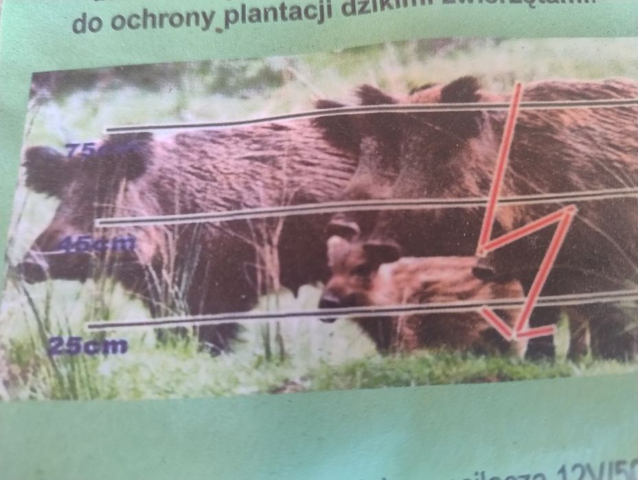 Elektryzator Pastuch 6J na Dziki