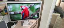 Монитор  Apple HD Cinema Display 23