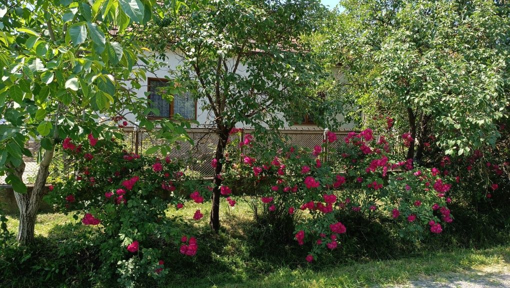 Будинок біля термальних басейнів