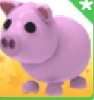 Adopt me петы пети пэты не дорого