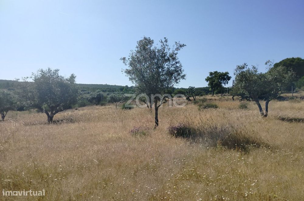 Vende-se terreno rústico em Cunheira, Alter do Chão