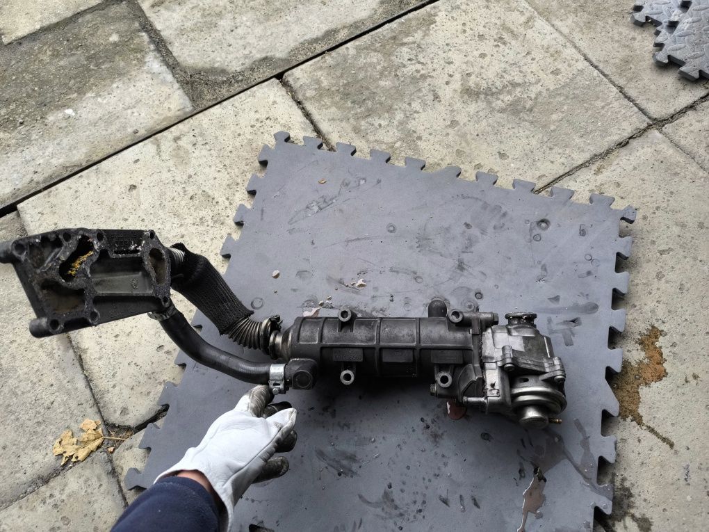 Chłodniczka spalin, zawór EGR Iveco 3.0