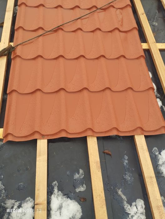 Blachodachówka Paula