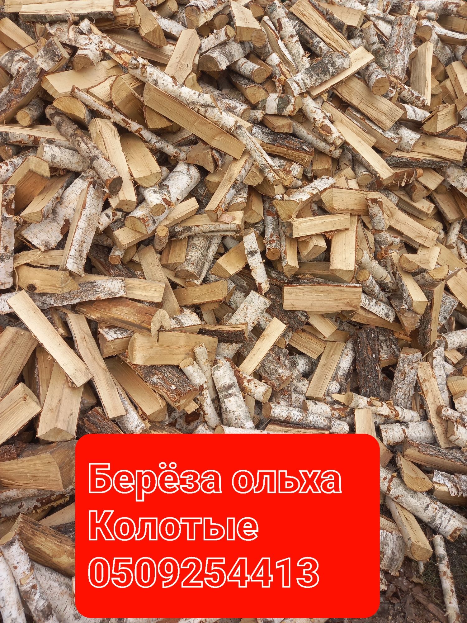 Дрова твёрдых пород