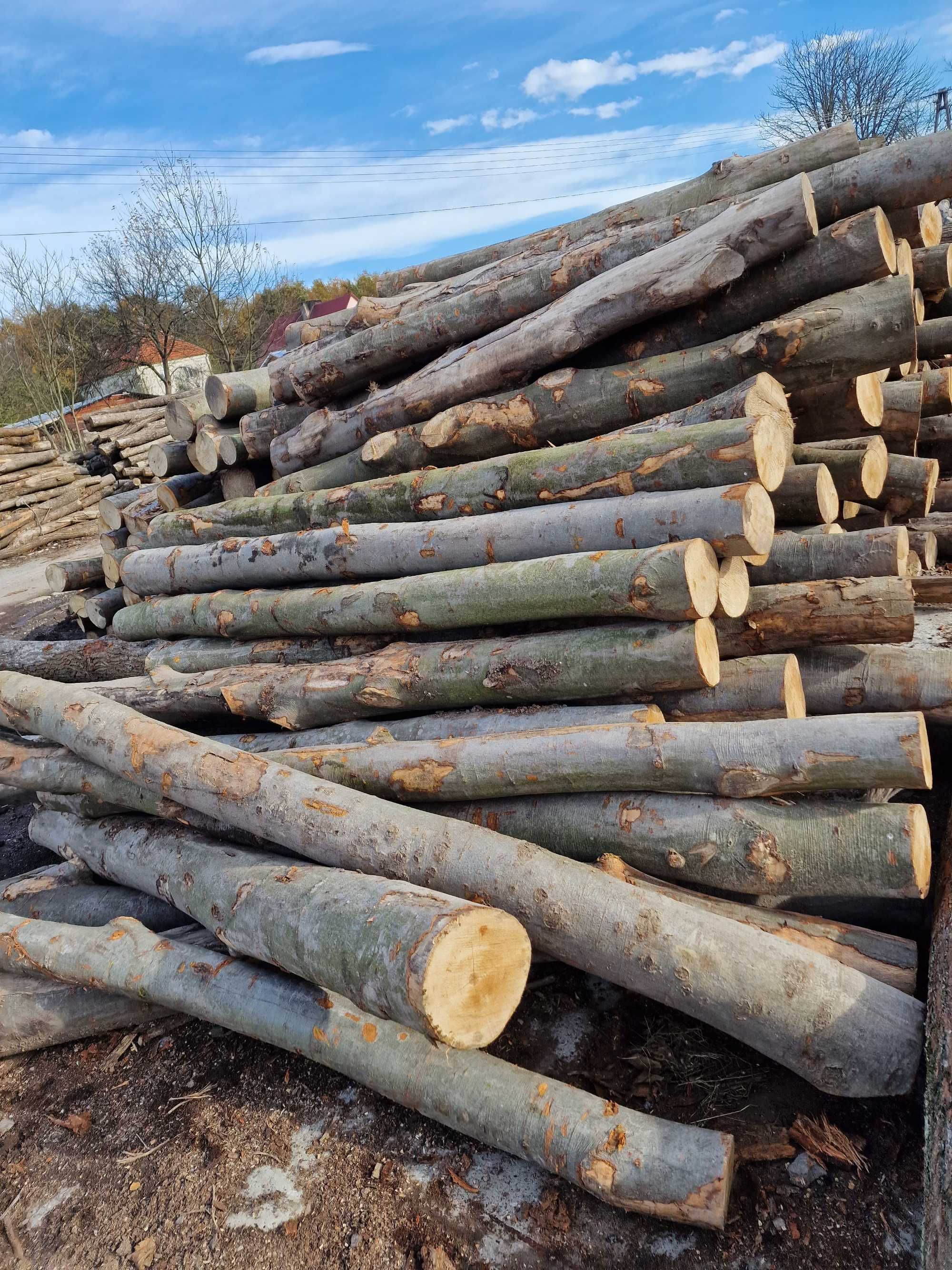 Drewno opałowe BUKOWE drzewo opał metry buk wałki - PROMOCJA 10%!