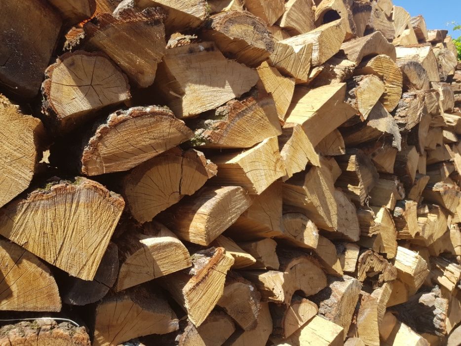 Drewno kominkowe dąb sosna, brzoza olcha grab buk