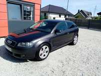 Audi A3 1.6 MPI Zadbany Alus Klima Hak Zamiana