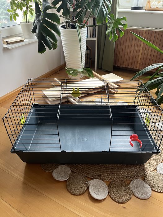 Klatka dla świnki morskiej/królika/szynszyli/koszatniczki