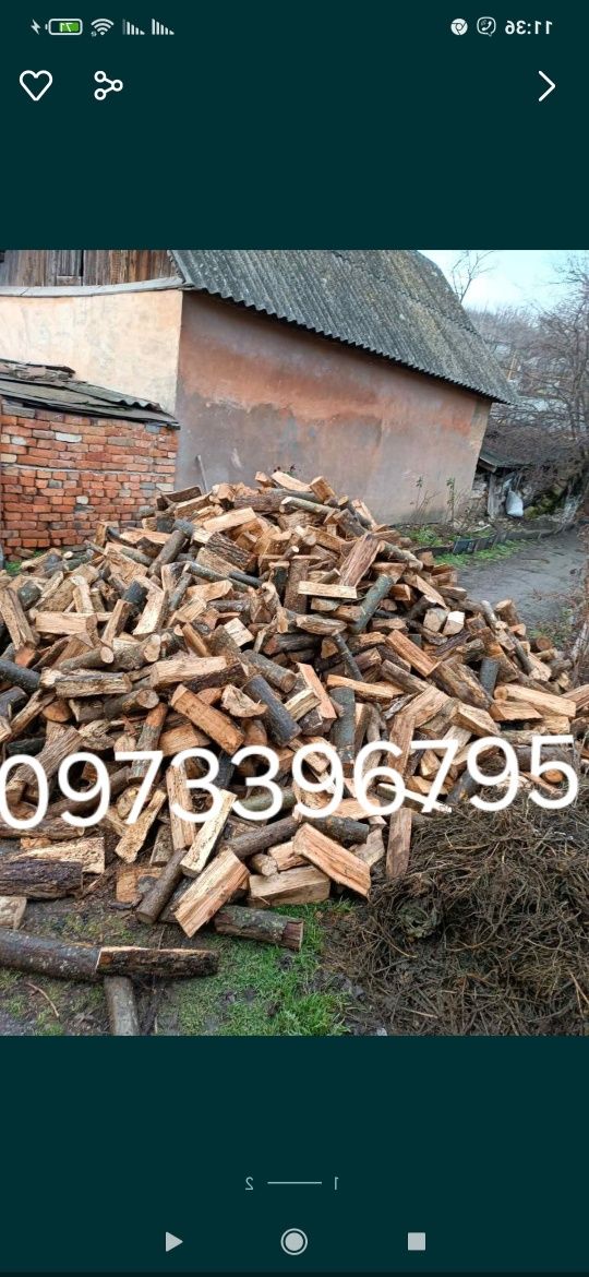 Продам дрова твердих порід, 1500.