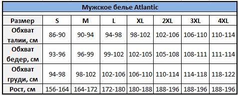 Футболка Atlantic на короткий рукав