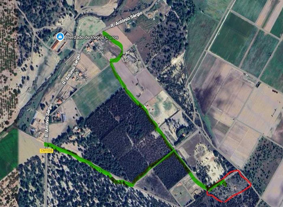 Terreno 22 000 m2 para projeto familiar ou investimento, Pegões Velhos