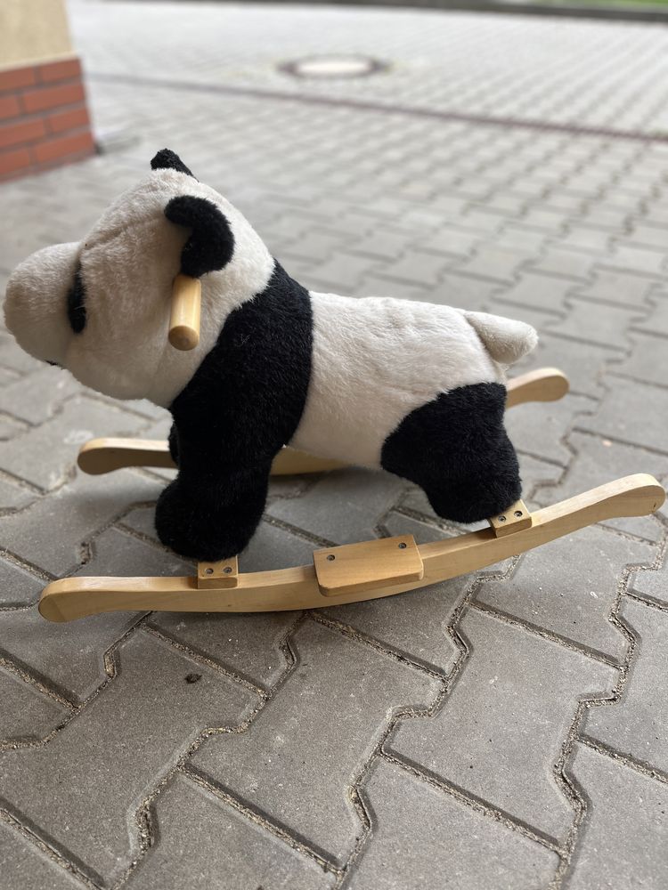 Bujak na biegunach miś panda