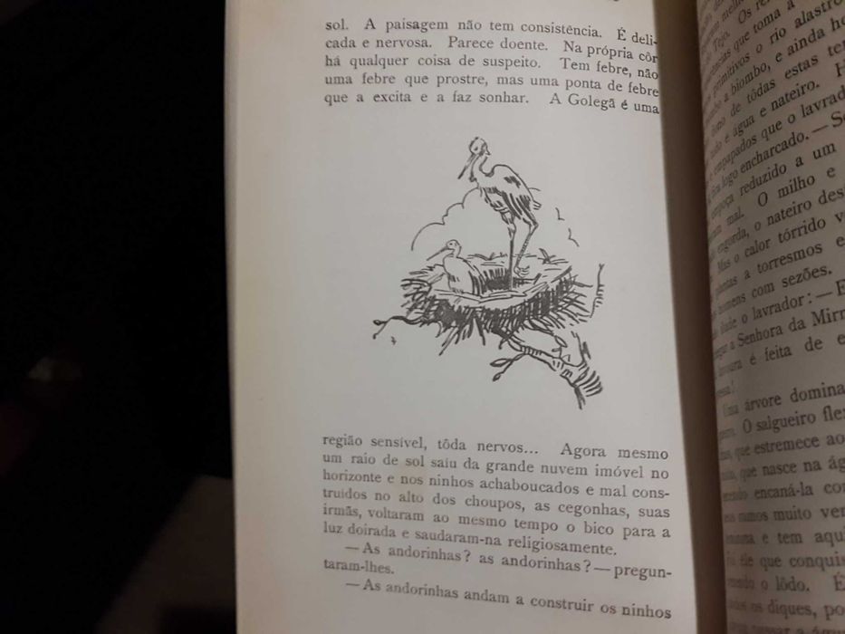 Maria Angelina e Raul Brandão - Portugal Pequenino