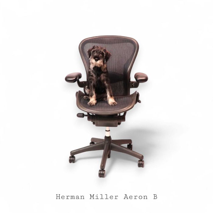 Fotel biurowy Herman Miller Aeron Classic B