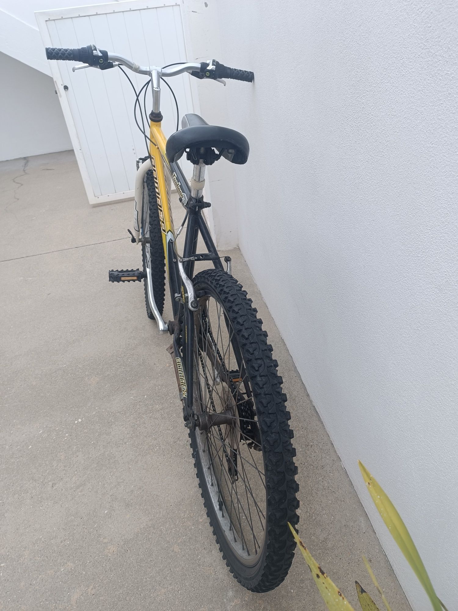 Bicicleta adulto Typhoon