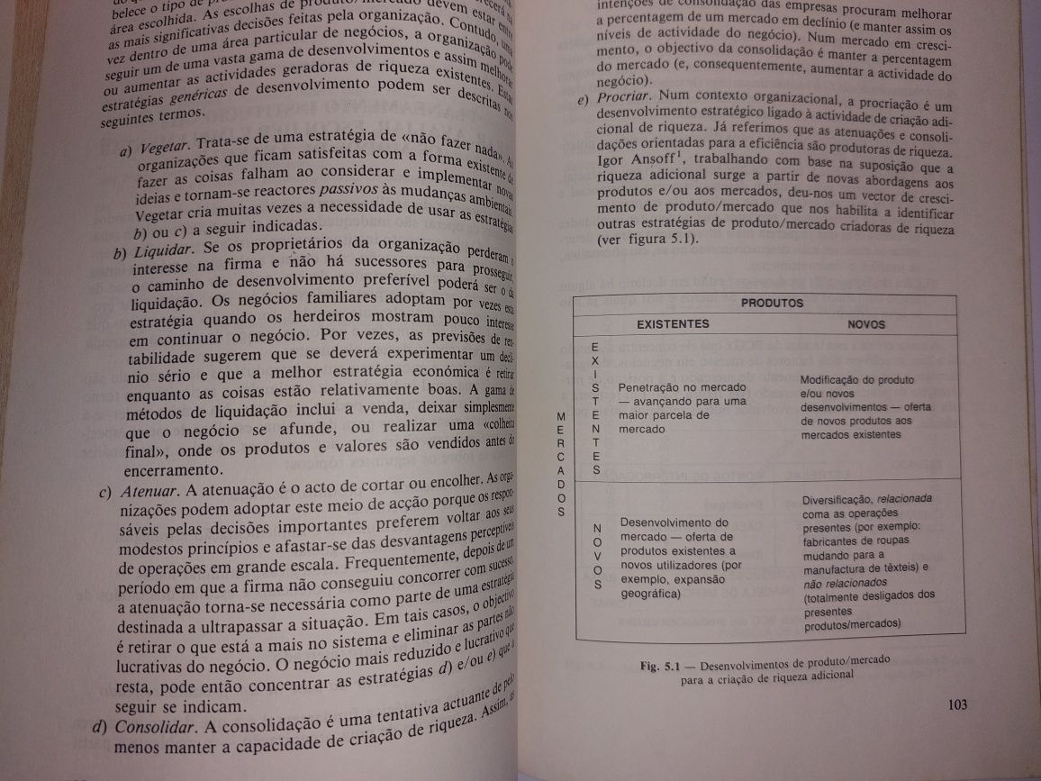 A Gestão Estratégica 1ª Edição - Bill & Roy Richardson  (Bom Estado)