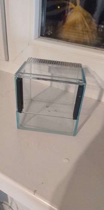 Terrarium dla pająka modliszki itp