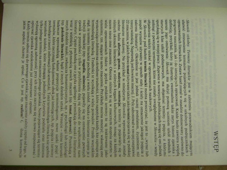 Terminy literackie słownik szkolny