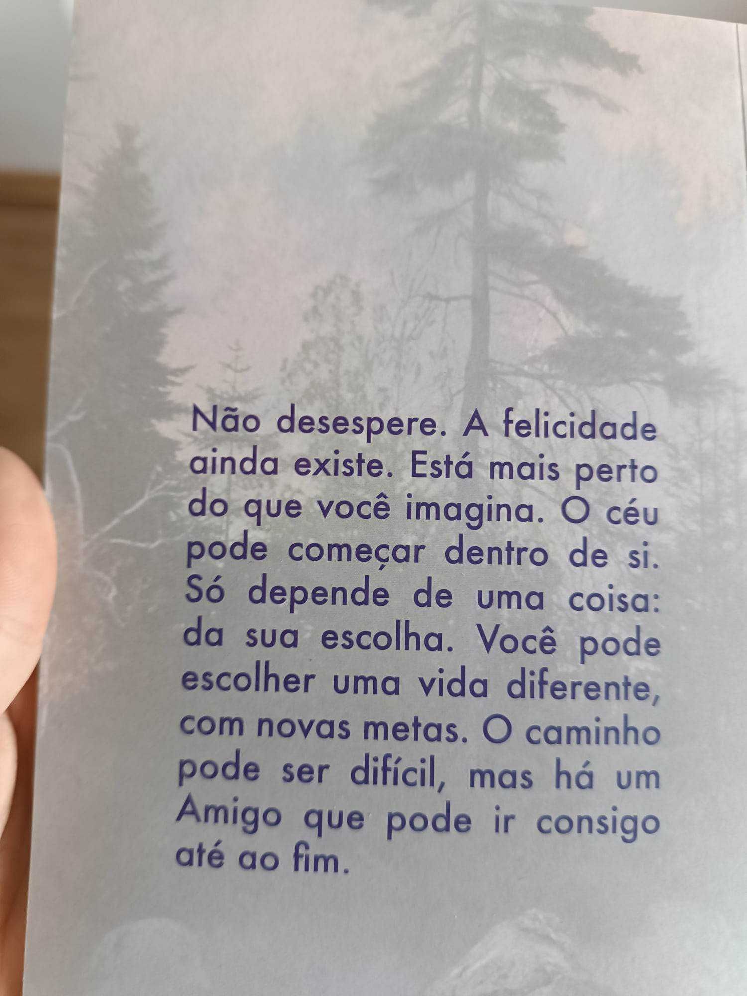 Livro "Como encontrar a paz interior"