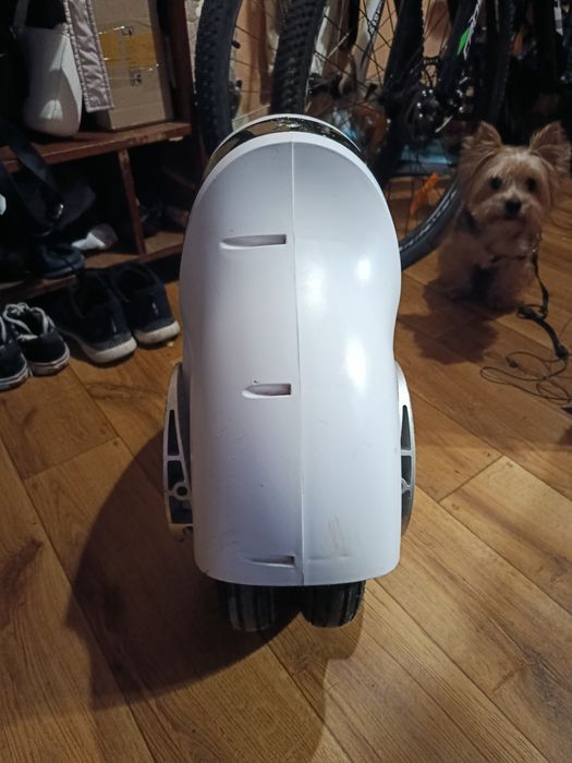 Моноколесо Rover Wind-2