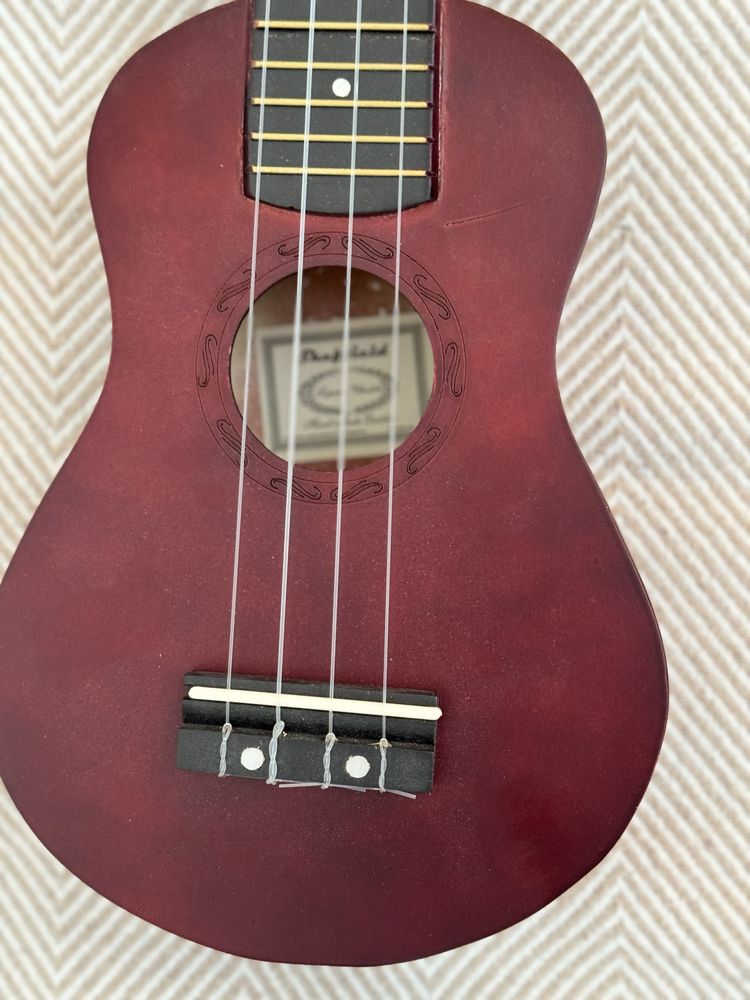 Ukulele plus CD plus podręcznik