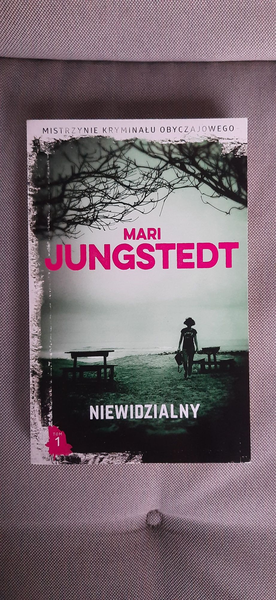 Niewidzialny, Mari Jungstedt
