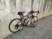 Trek Madonne carbono S com 105