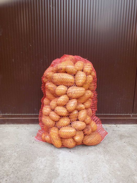 Ziemniaki jadalne QUEEN ANNE