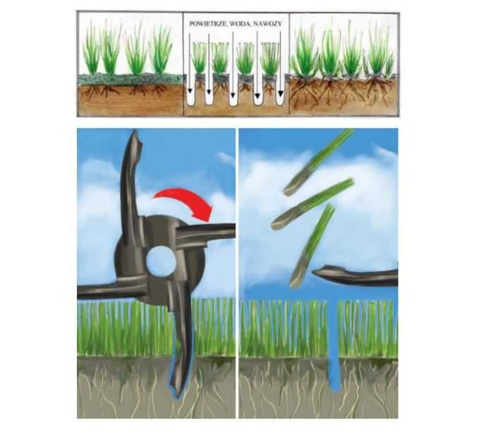 Profesjonalny AERATOR RURKOWY spalinowy - WYNAJEM