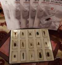 Журнал-Коллекция "Настоящие насекомые и их знакомые". Деагостини (1 ч)