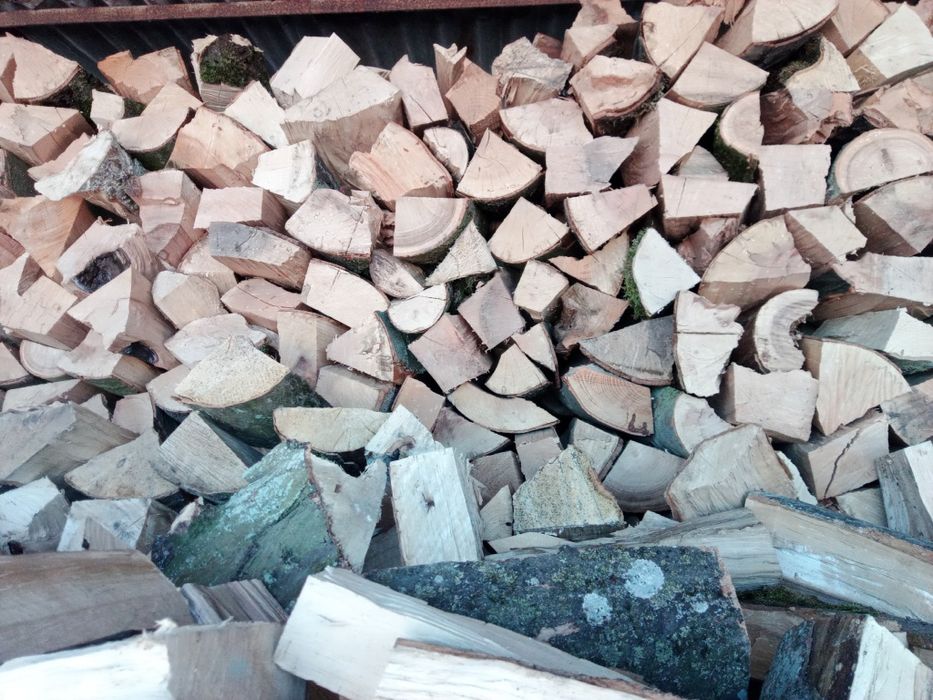 Drewno na ognisko, drewno w workach