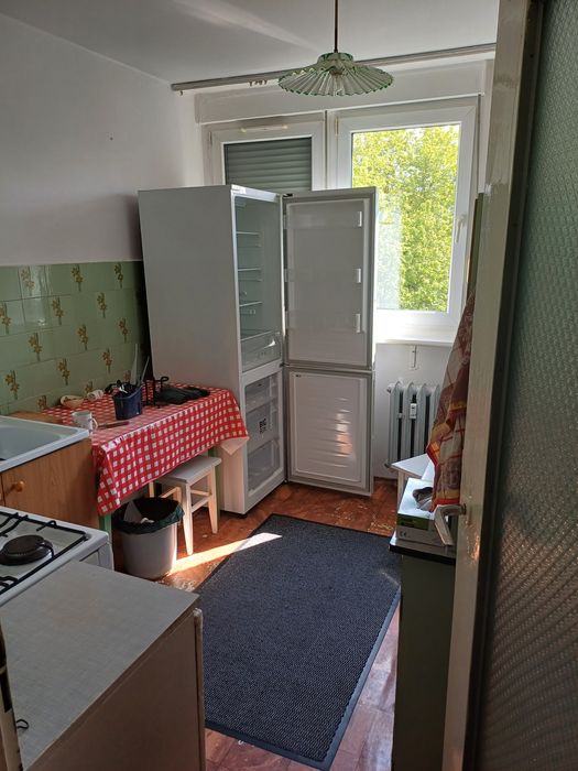 Mieszkanie M4 legnica wynajem