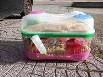 Gaiola de hamster IMAC Fantasy