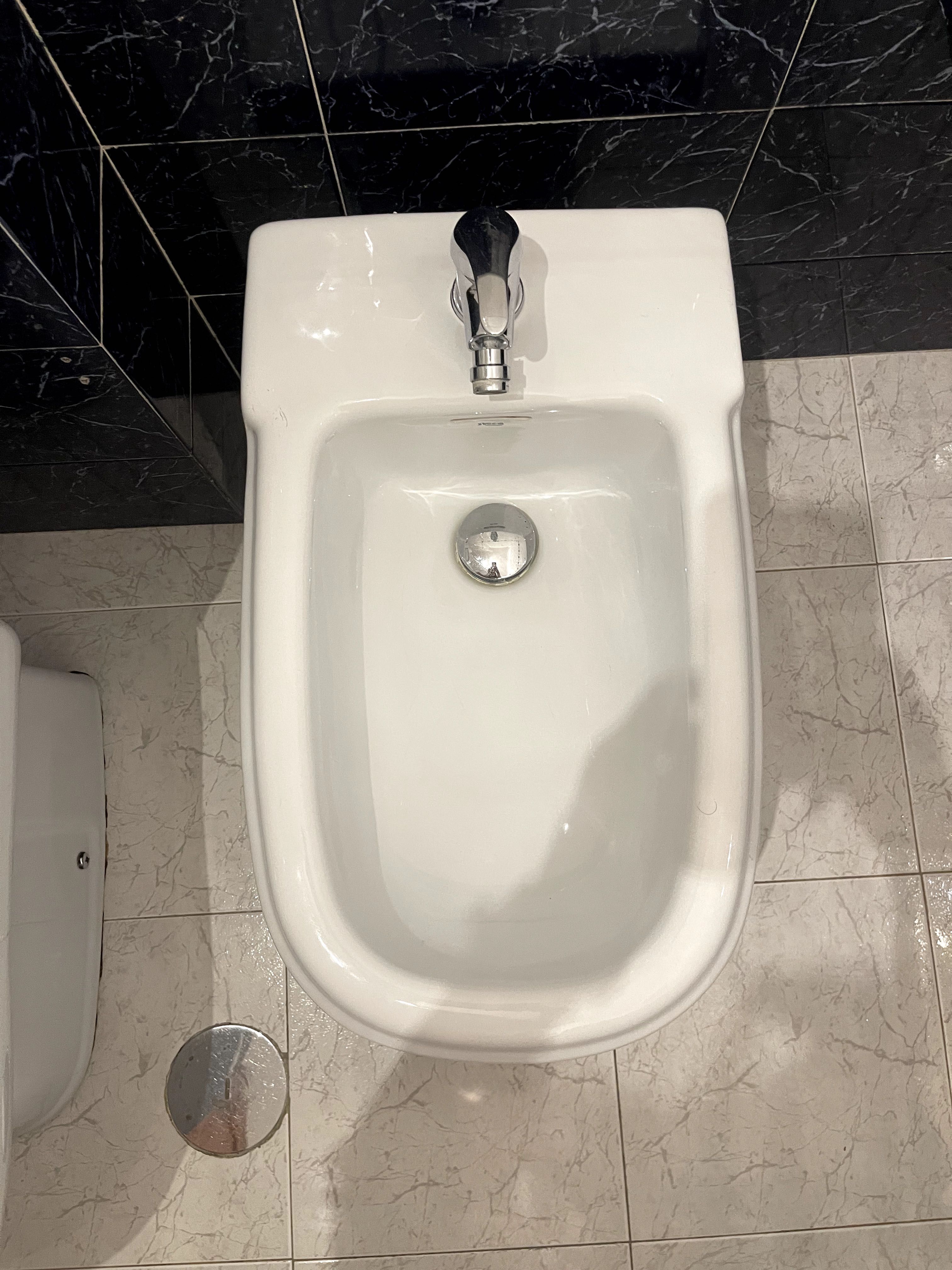 Sanita e Bide da marca Roca