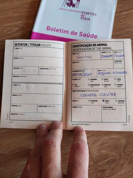 CADELA 09 MESES PARA ADOÇÃO